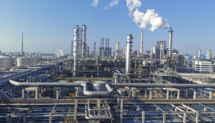 Petrochemical Industry hose