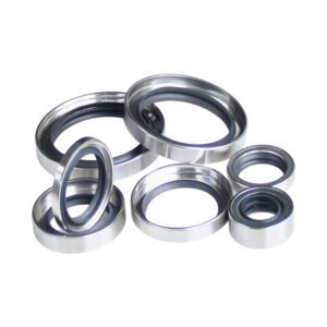 ptfe oil seal