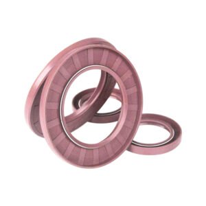 fluorocarbon skeleton oil seal