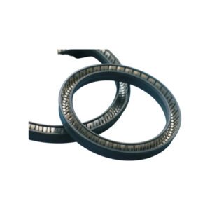 piston type spring energized seal fva