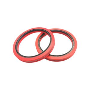 Double-segmented oil seal