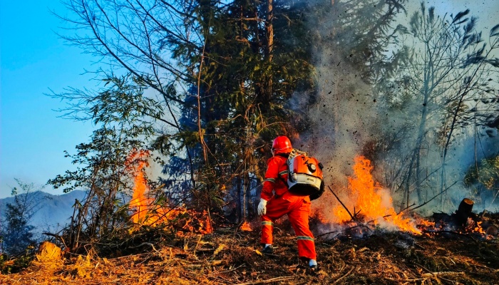 Fire Protection & Emergency Systems hose